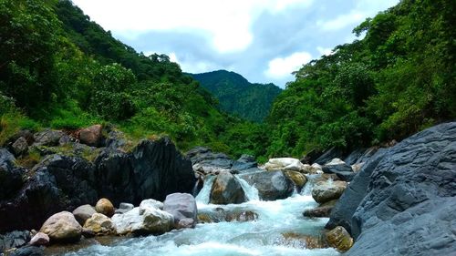 Scenic view of waterfall in forest against sky