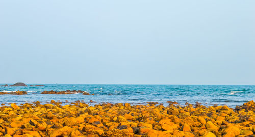 Scenic view of sea against clear sky