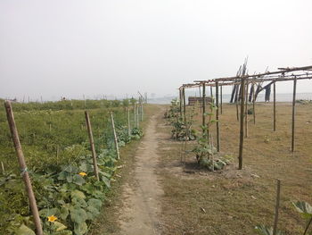 Wooden posts on field against clear sky