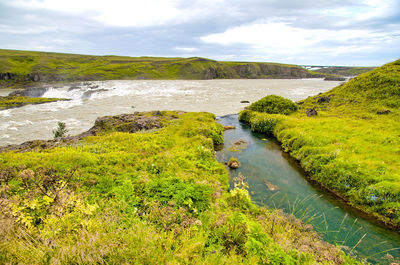 High angle view of river amidst plants against sky