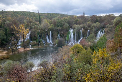 Scenic view of waterfall against trees in forest