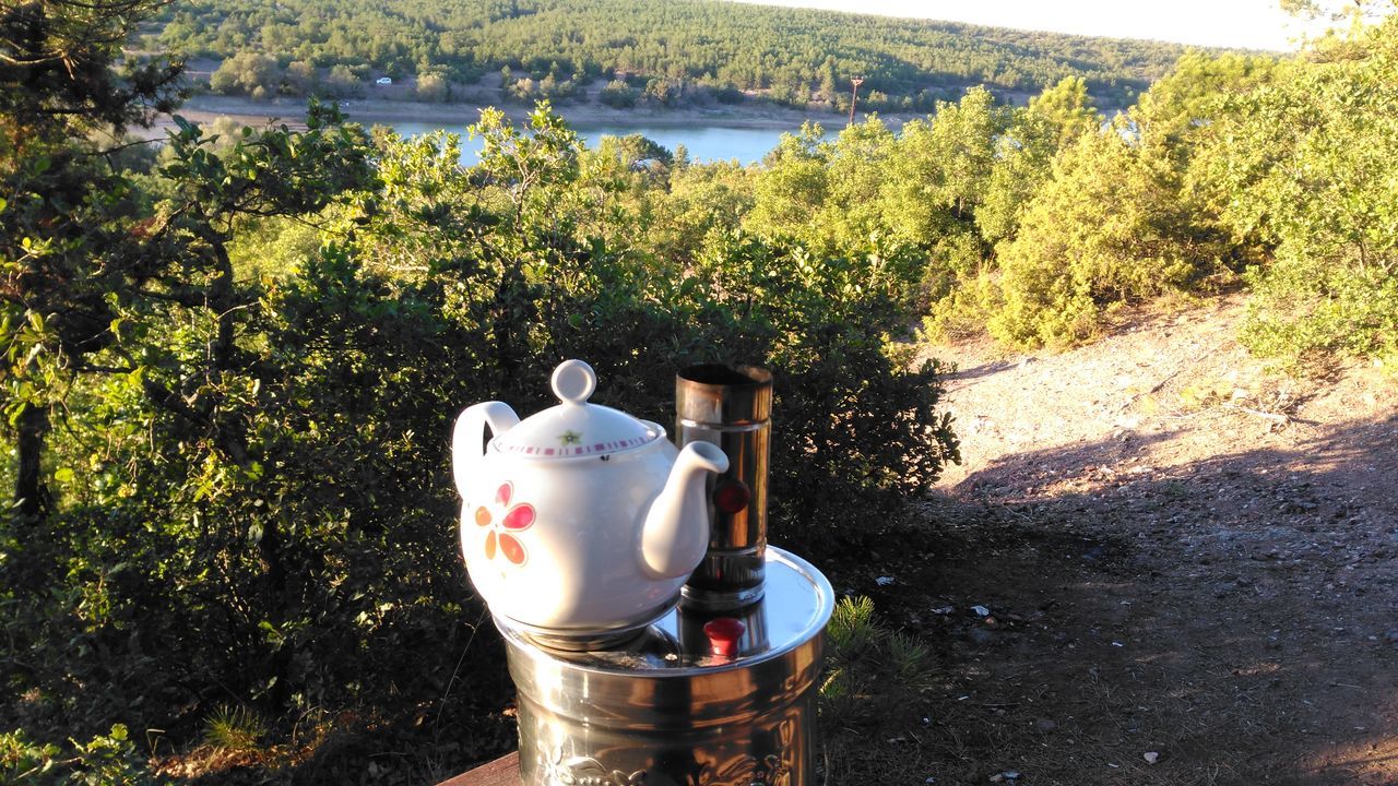 drink, refreshment, food and drink, coffee cup, coffee - drink, plant, freshness, close-up, water, shadow, growth, in front of, day, beverage, outdoors, tranquility, green color, watering can, no people