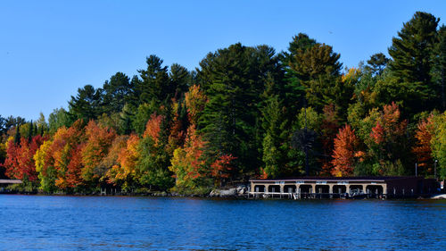 Scenic view of lake by trees against clear blue sky