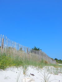 View of tree against blue sky