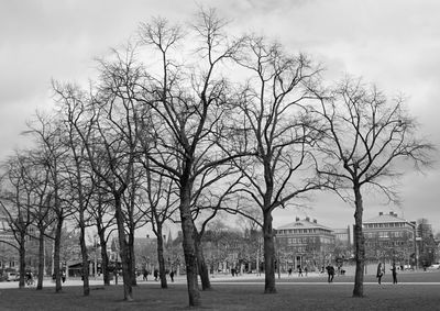 Bare trees in park against buildings in city