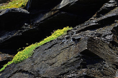 High angle view of rock formation on land