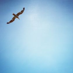 Low angle view of person jumping against clear blue sky