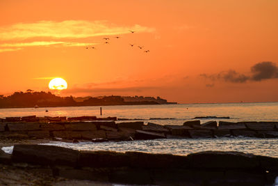 Scenic view of sea at sunset