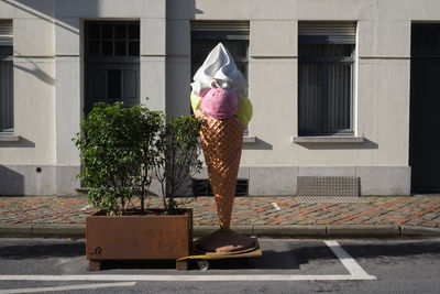 Potted plant on street against building in city