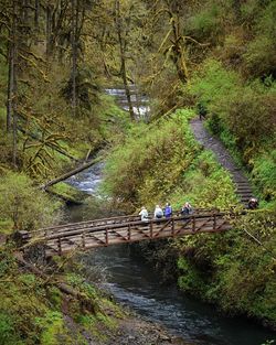 High angle view of people on riverbank in forest