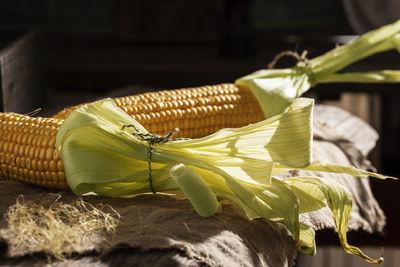 Cobs of sweet corn on a wooden table