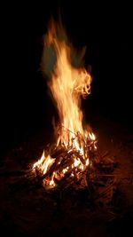 Close-up of bonfire at night