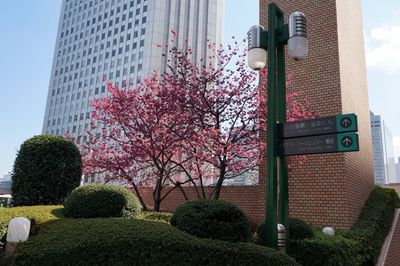 Low angle view of buildings against sky