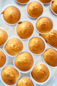 High angle view of cupcakes