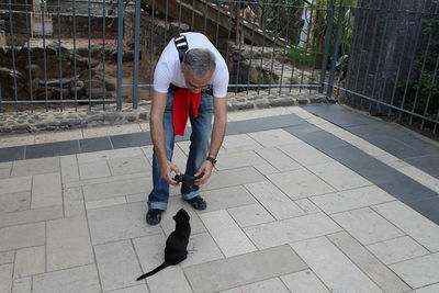 Mature man photographing black cat at observation point