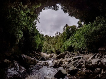 Scenic view of waterfall in forest against sky