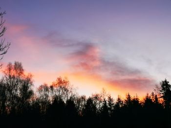 Low angle view of silhouette trees against sky during sunset