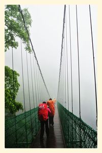 Rear view of woman standing by railing