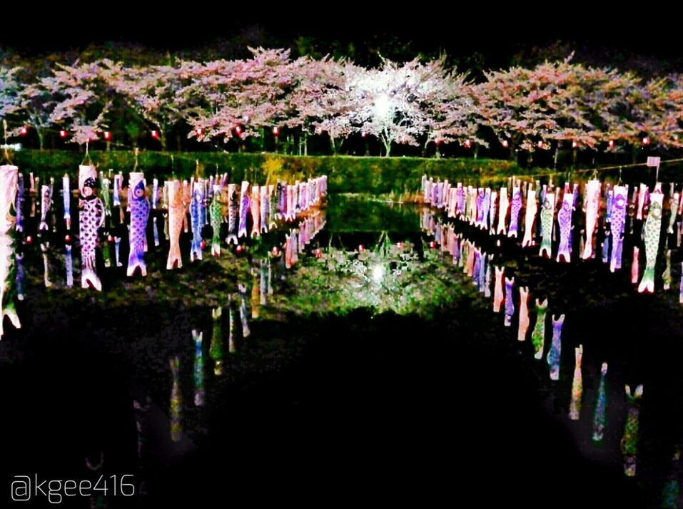 in a row, abundance, large group of objects, growth, multi colored, variation, arrangement, nature, tree, plant, fence, beauty in nature, tranquility, outdoors, day, flower, no people, purple, order, side by side