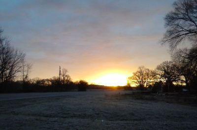 Bare trees on landscape at sunset