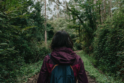 Rear view of woman standing amidst trees in forest