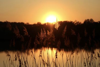 Scenic view of silhouette landscape against orange sky