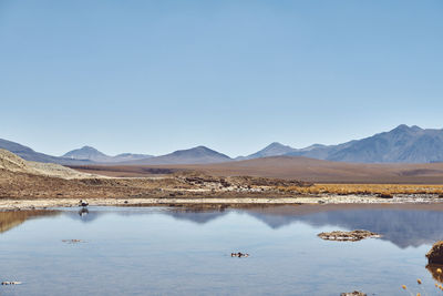 Scenic view of lake against clear blue sky