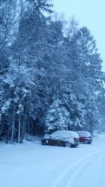 Snow covered landscape