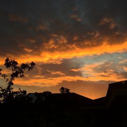 Silhouette trees and buildings against sky during sunset