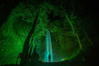 Rear view of women standing on tree trunk at night