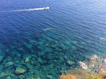 High angle view of sailboat in sea