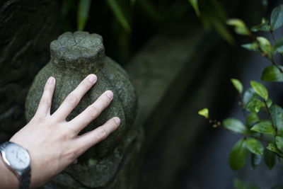 Cropped hand touching stone