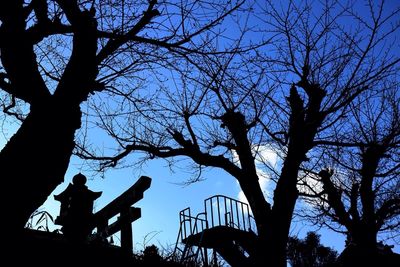 Low angle view of silhouette bare tree against sky