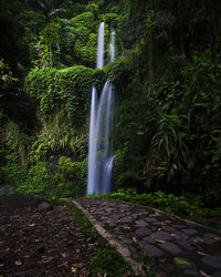 View of waterfall in forest