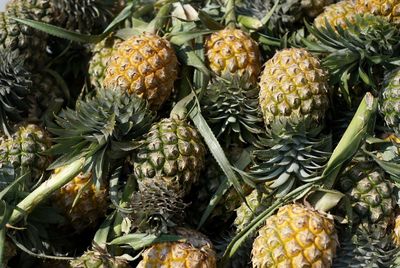 High angle view of fruits for sale in market