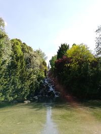 Scenic view of waterfall in forest against sky