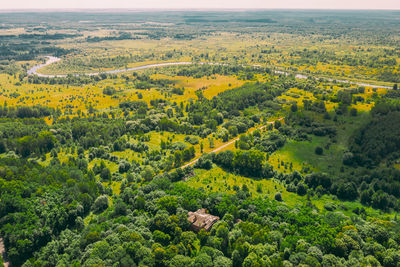 Scenic view of agricultural field