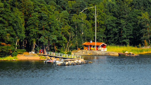 Scenic view of lake by trees