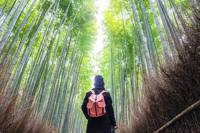 Rear view of woman with backpack standing in forest