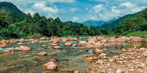 Scenic view of rocks and trees against sky