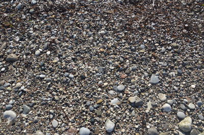 High angle view of stones on beach