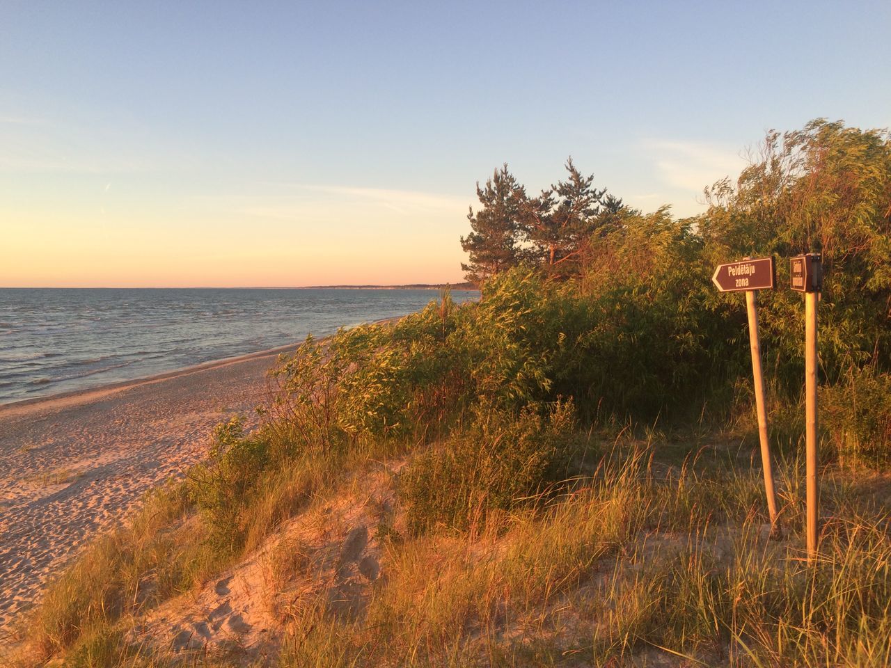 sea, horizon over water, tranquility, tranquil scene, water, beach, sky, scenics, beauty in nature, shore, nature, tree, growth, sand, idyllic, plant, calm, remote, coastline, outdoors