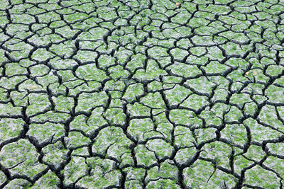 Full frame shot of cracked land