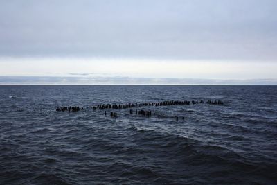 Scenic view of sea against cloudy sky