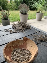 Close-up of potted plant on table