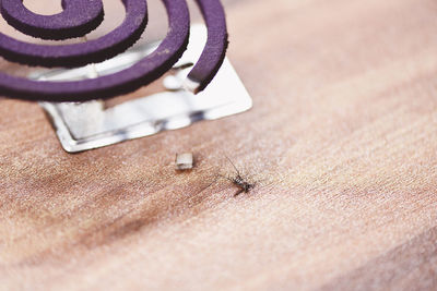 High angle view of black coffee on table