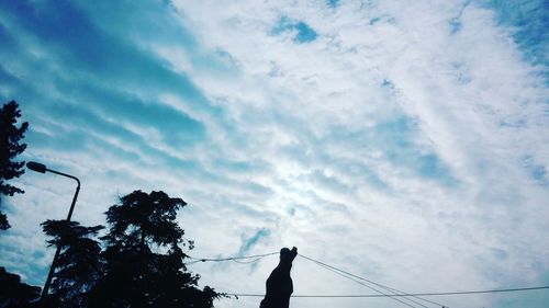 Low angle view of trees against cloudy sky