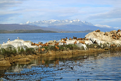 Scenic view of lake and mountains against sky