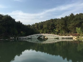 Reflection of trees in calm lake