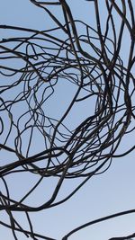 Low angle view of silhouette bare tree against sky